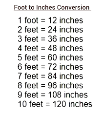 Custom 3x8ft Floor Aisle Runner – Personalized Photo Banner for Prom, Graduation, Birthdays, Weddings & Events