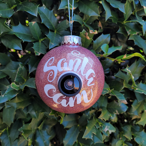 Santa Cam Ornament w/ Letter from Santa